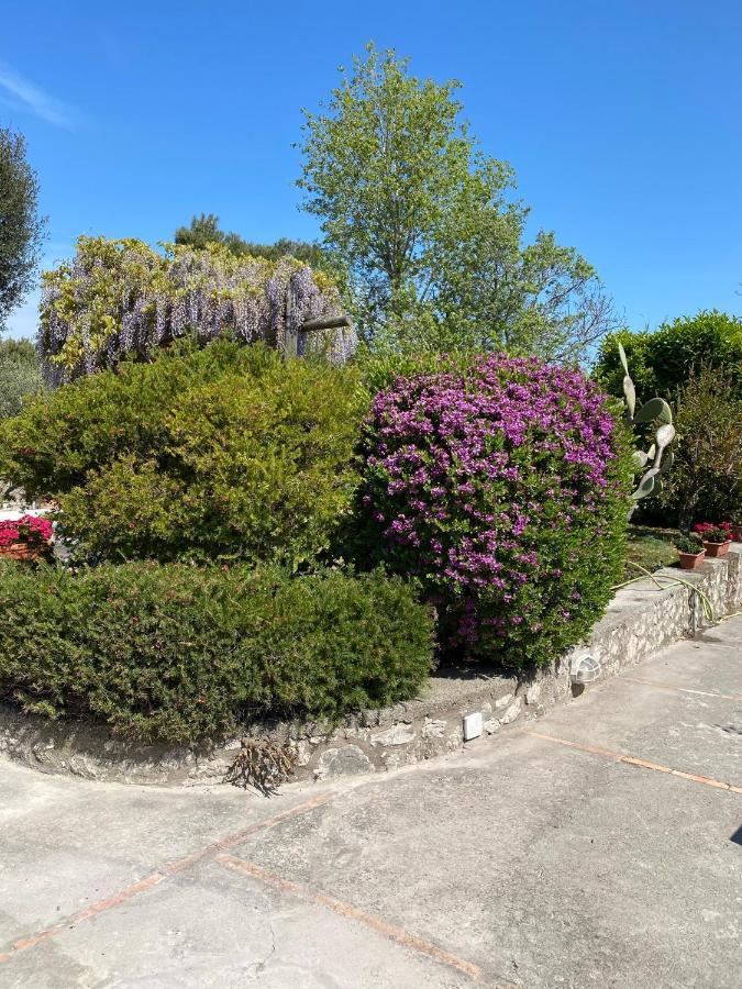 Casaale Villa Anacapri  Luaran gambar