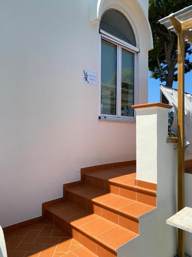 Casaale Villa Anacapri  Luaran gambar